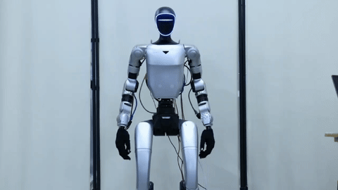 RoboSTAR